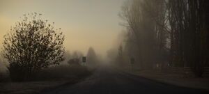 Braidwood - Morning Mist