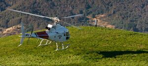 Sheffield Tasmania - Mt Roland Helicopter Goddess Gary Ticehurst